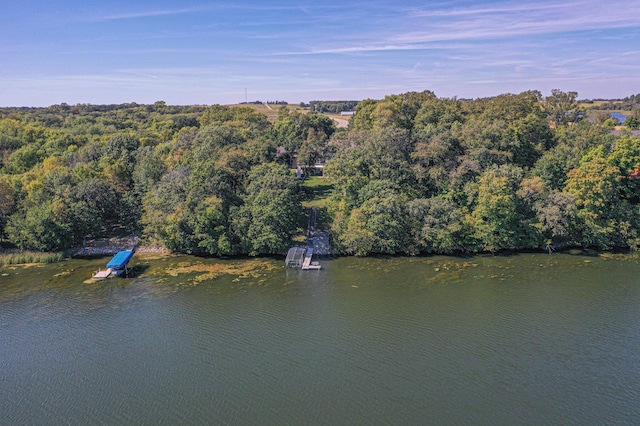 bird's eye view featuring a water view and a view of trees
