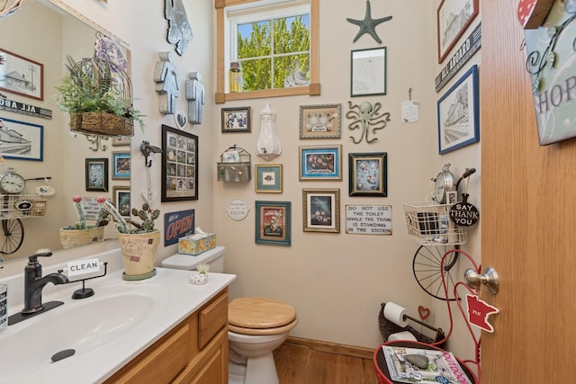 1920 Red Maple Ln, Northfield, MN 55057 - bathroom featuring wood finished floors and vanity