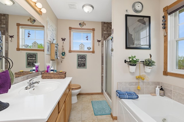 1920 Red Maple Ln, Northfield, MN 55057 - full bath with plenty of natural light, vanity, a tub with jets, and a stall shower