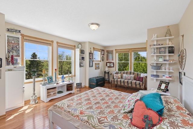 1920 Red Maple Ln, Northfield, MN 55057 - bedroom featuring wood finished floors