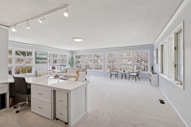 office featuring light carpet, ornamental molding, visible vents, and baseboards