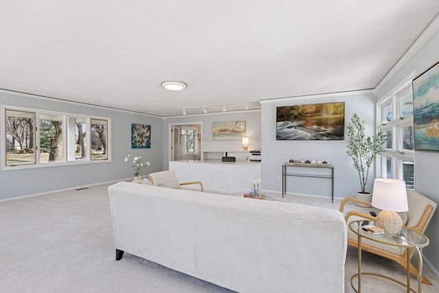 living room featuring carpet, a wealth of natural light, baseboards, and visible vents