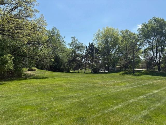 8929 36th St N, Lake Elmo, MN 55042 - view of grassy yard