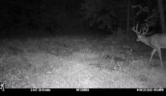 TBD 250th St, Mahnomen, MN 56557