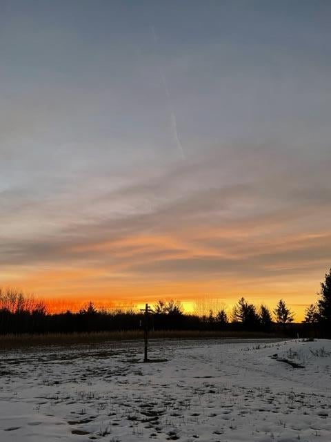 xx Basswood, Cushing Twp, MN 56443
