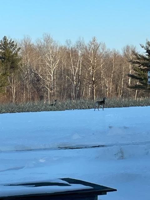 xx Basswood, Cushing Twp, MN 56443