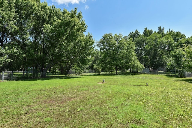 15320 90th St NE, Otsego, MN 55330 - view of yard