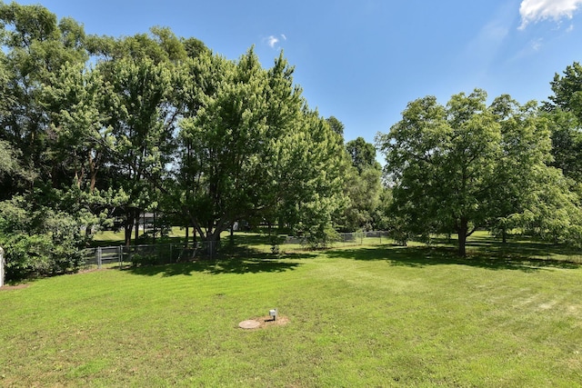 15320 90th St NE, Otsego, MN 55330 - view of yard