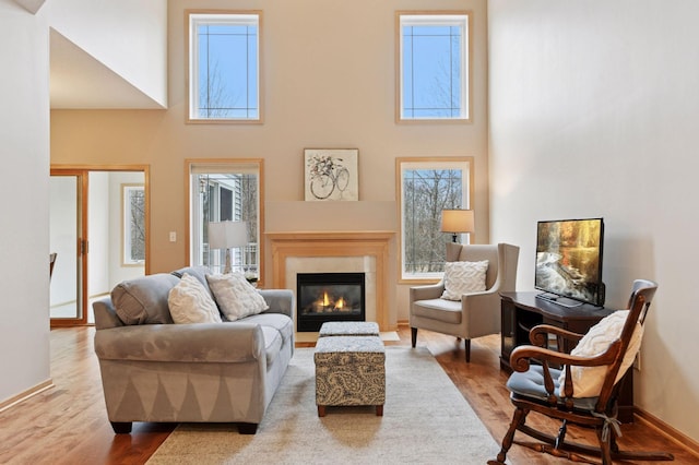 living area featuring a wealth of natural light, a high ceiling, and wood finished floors