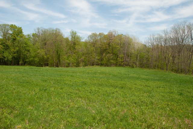 TBD 299th, Millville, MN 55041 - photo 5
