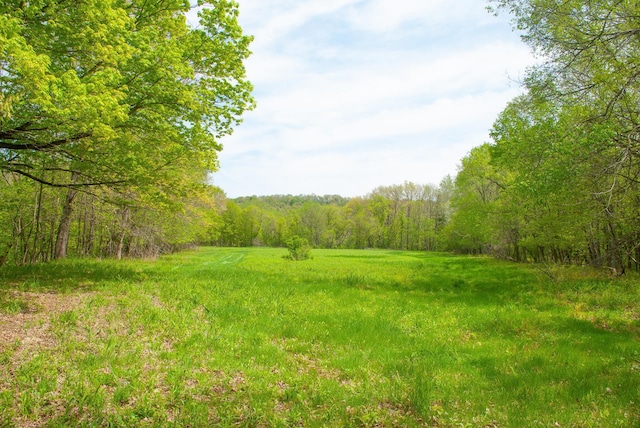 TBD 299th, Millville, MN 55041 - photo 7