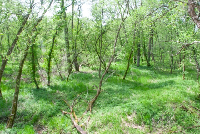 TBD 299th, Millville, MN 55041 - photo 8