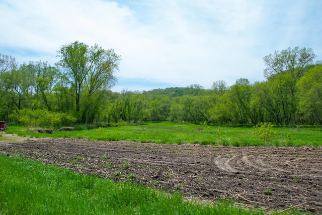 TBD 299th, Millville, MN 55041 - photo 10