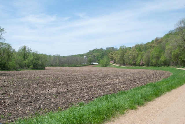 TBD 299th, Millville, MN 55041 - photo 11