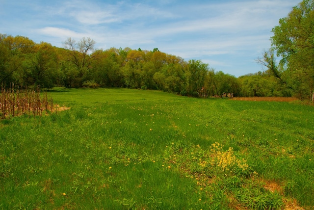 TBD 299th, Millville, MN 55041 - photo 14
