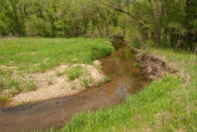 TBD 299th, Millville, MN 55041 - photo 16