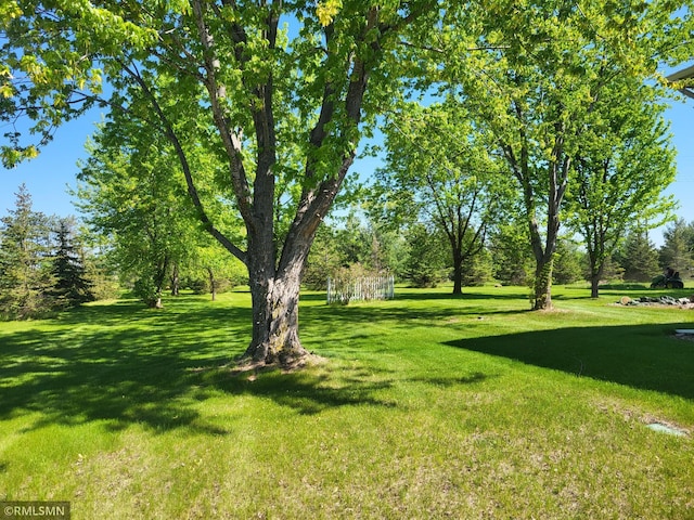 view of grassy yard featuring view of wooded area
