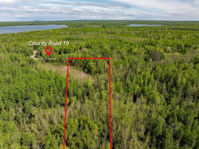 aerial view with a view of trees and a water view