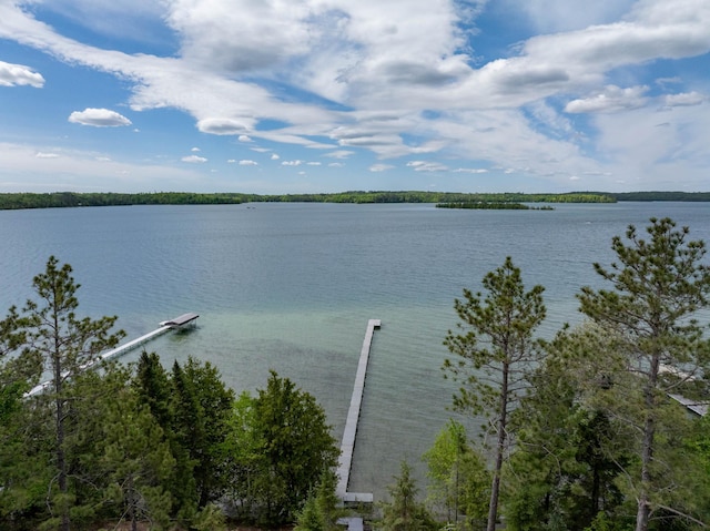 property view of water with a boat dock