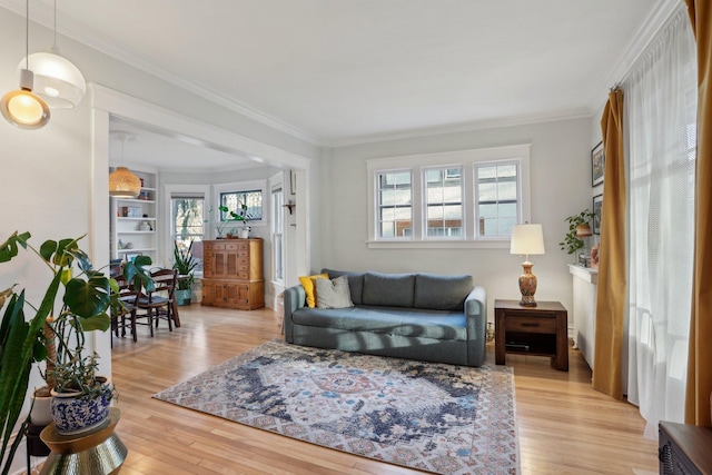 living area with plenty of natural light, light wood-style flooring, and ornamental molding