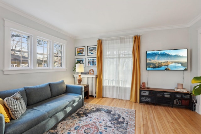 living room featuring radiator heating unit, light wood finished floors, and crown molding