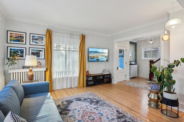 living area with baseboards, crown molding, and wood finished floors