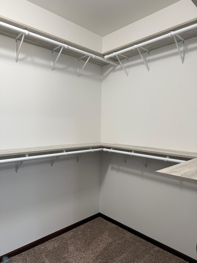 walk in closet featuring dark carpet