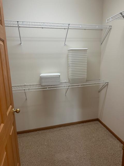 1017 Clausen Ave SW, Bemidji, MN 56601 - view of walk in closet