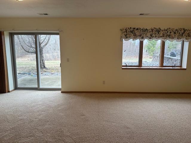 1017 Clausen Ave SW, Bemidji, MN 56601 - spare room with a wealth of natural light, carpet flooring, and visible vents