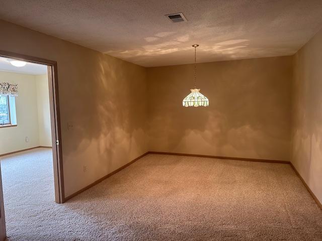 1017 Clausen Ave SW, Bemidji, MN 56601 - unfurnished room featuring light carpet, a textured ceiling, visible vents, and baseboards