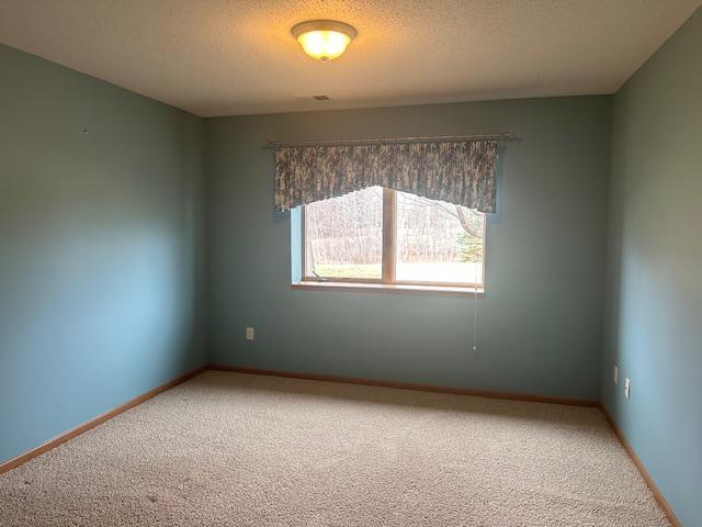 1017 Clausen Ave SW, Bemidji, MN 56601 - carpeted spare room featuring baseboards and a textured ceiling