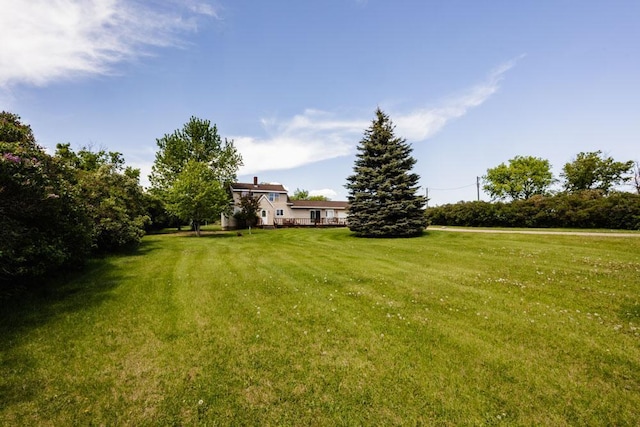33247 County Highway 35, Maine Twp, MN 56528 - photo 5