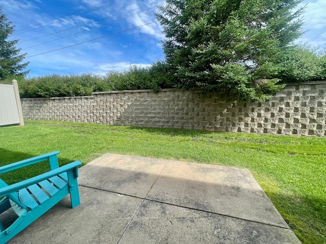 1254 Sundance Ct NE, Byron, MN 55920 - photo 11