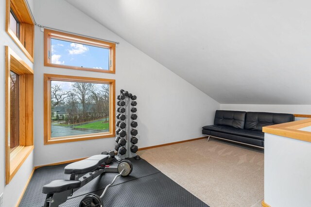 exercise room featuring vaulted ceiling, baseboards, and carpet flooring