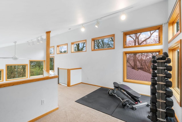 exercise area featuring carpet floors, baseboards, and rail lighting