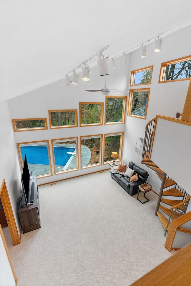 living area featuring track lighting and carpet flooring
