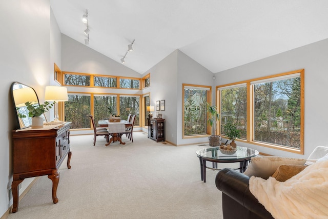 living room with carpet floors, baseboards, rail lighting, and high vaulted ceiling