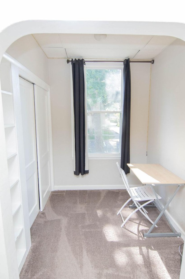 217 Center St, Mankato, MN 56001 - interior space featuring arched walkways and baseboards