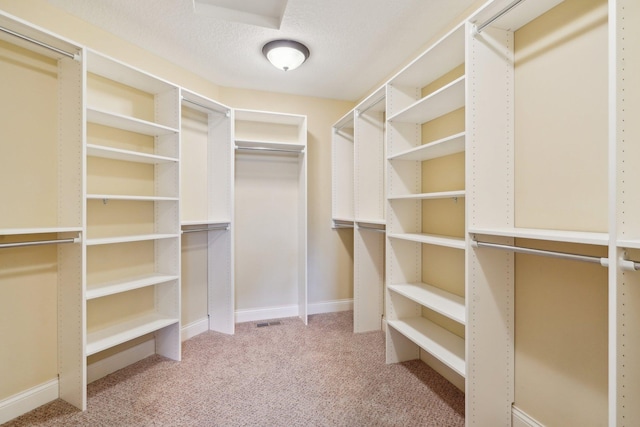 spacious closet featuring carpet flooring
