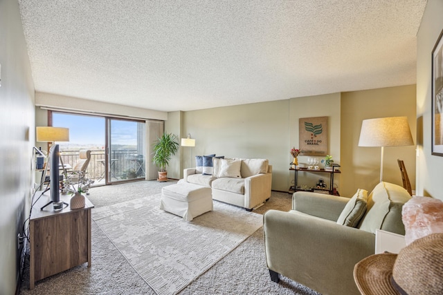 210 Grant St Unit 710, Minneapolis, MN 55403 - living area with carpet flooring and a textured ceiling