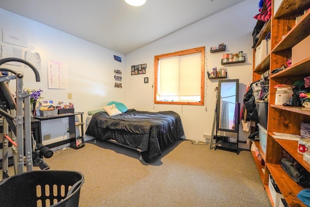 5242 Cusson Loop Rd, Leiding Twp, MN 55771 - bedroom with lofted ceiling and carpet