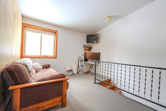 5242 Cusson Loop Rd, Leiding Twp, MN 55771 - sitting room featuring carpet flooring