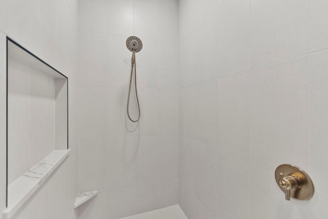 7284 205th St W, Faribault, MN 55021 - bathroom featuring a tile shower