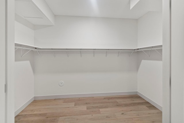 7284 205th St W, Faribault, MN 55021 - spacious closet with light wood-style flooring
