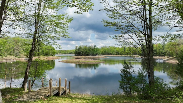 N4020 Deep Lake Rd, Sarona, WI 54870 - water view featuring a forest