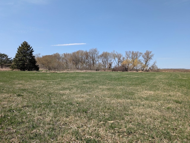 view of yard with a rural view