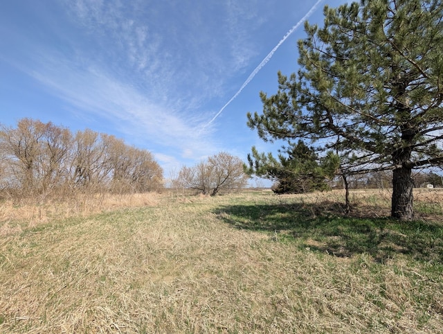 view of yard with a rural view