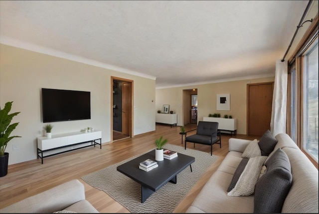 463 Minnesota St S, Stillwater, MN 55003 - living room with plenty of natural light and wood finished floors