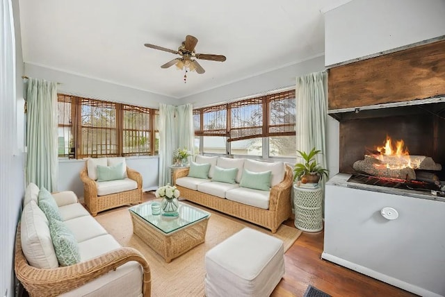463 Minnesota St S, Stillwater, MN 55003 - living area featuring wood finished floors, a ceiling fan, and a lit fireplace