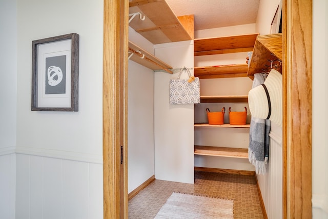 view of spacious closet